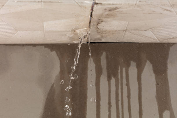 Professional Structural Drying technician working in Scipio, UT